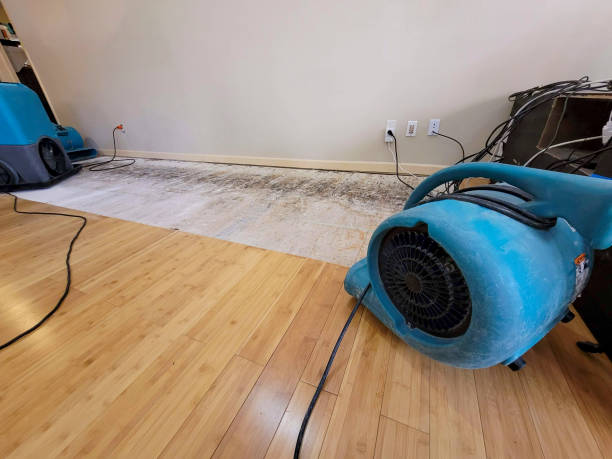 Professional Flood Damage Cleanup technician working in Dewey, OK